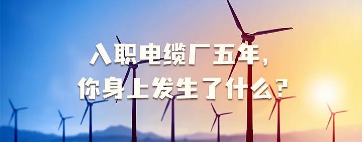 入職電纜廠五年，你身上發(fā)生了哪些變化~